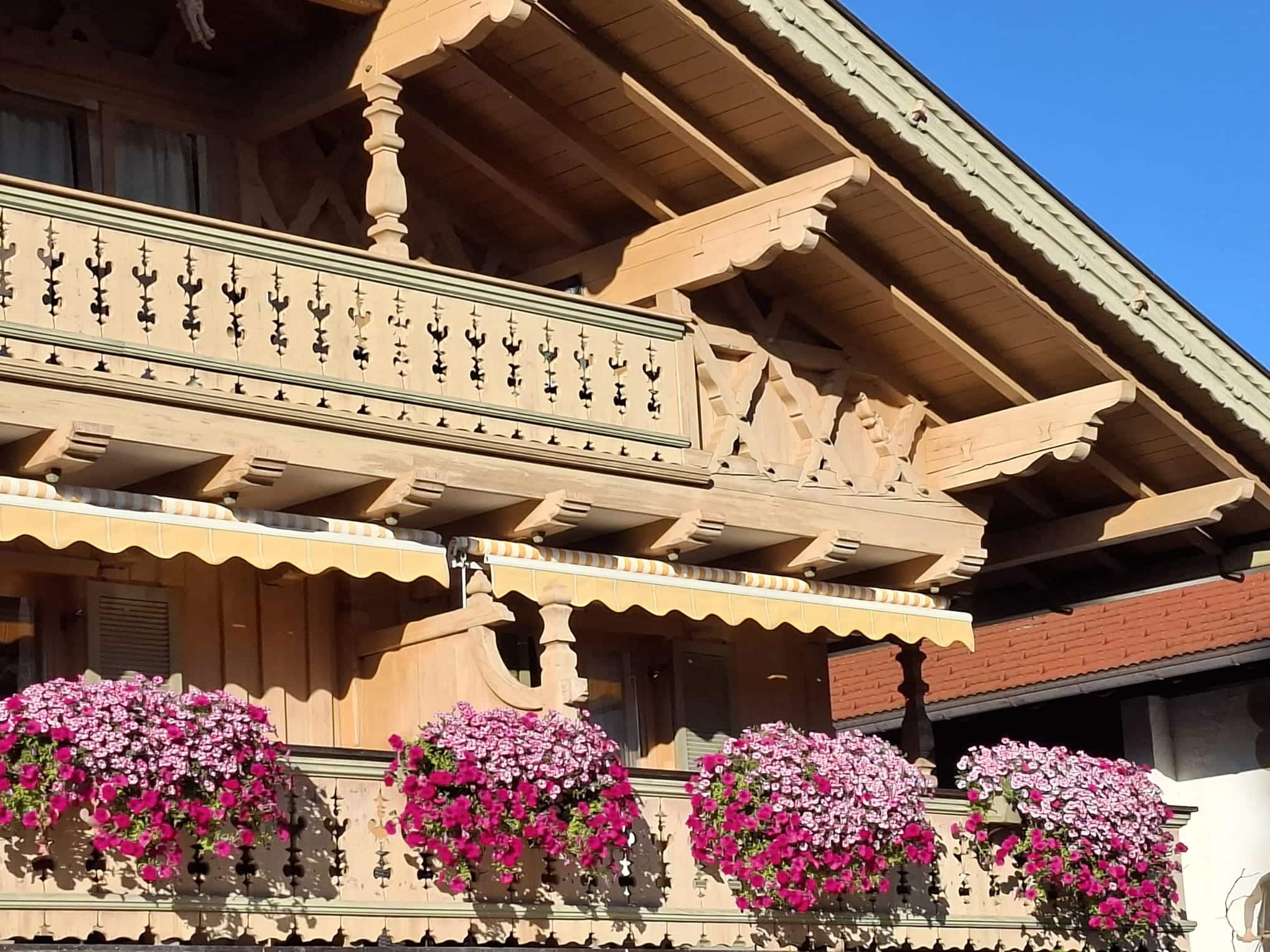 WhatsApp Image 2025-12-18 at 13.33.28 2